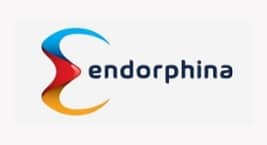 Endorphina small logo